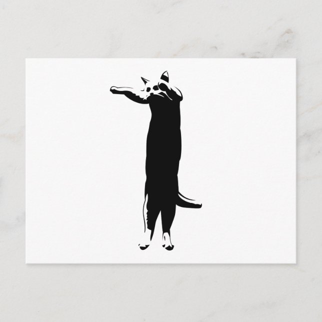 Långtidskrin Vykort (Framsida)