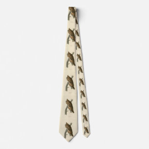 Långtrad Uggla från Audubon's Birds of America Slips