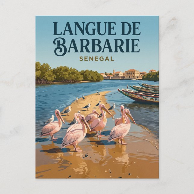 Langue de Barbarie nationalpark Senegal Vykort (Framsida)