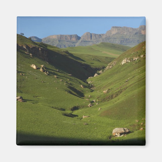 Långvägg, Giant's Castle, Drakensbergbergen, Magnet (Framsidan)