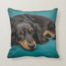 Långvåt Dachshund Pillow