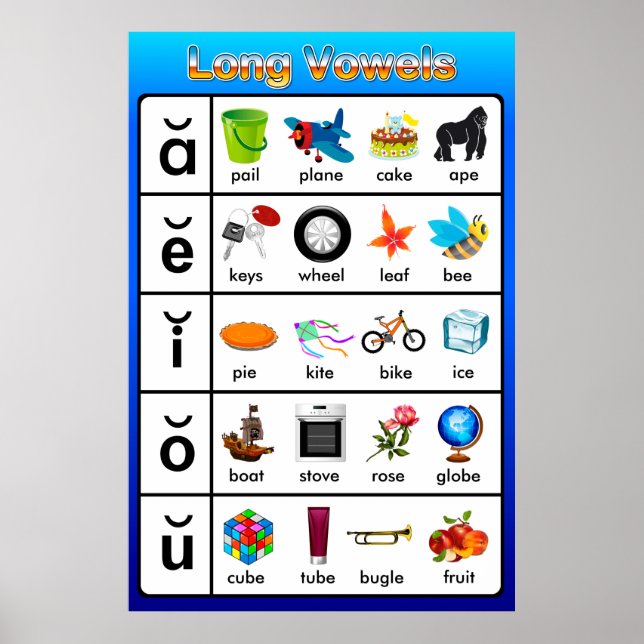 Långvåt inlärningsdiagram Poster (Framsidan)