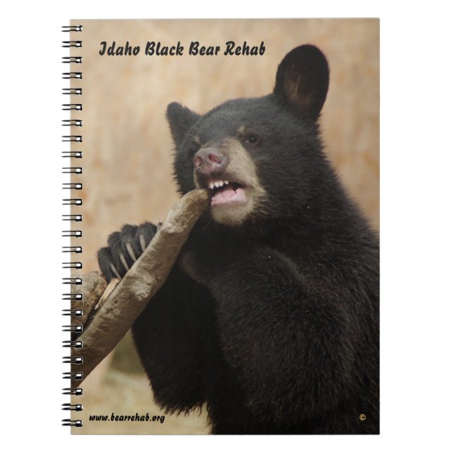 Lanikai anteckningsbok (Framsidan)