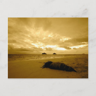 Lanikai Sunrise-vykort Vykort