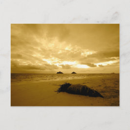 Lanikai Sunrise-vykort Vykort