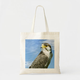 Lanner Falcon genomsöktes Tygkasse