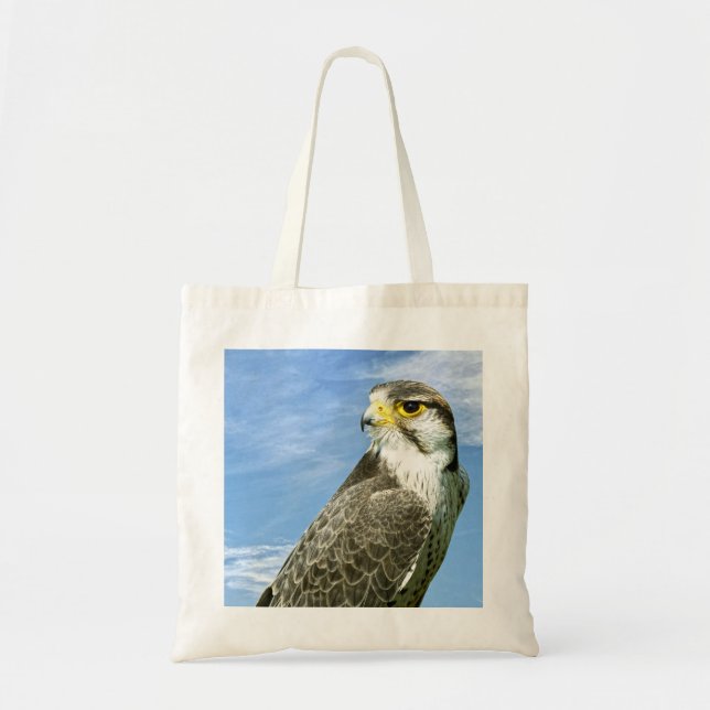 Lanner Falcon genomsöktes Tygkasse (Framsidan)