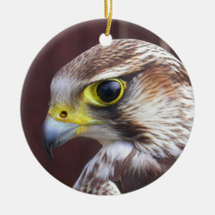 Lanner Falcon Julgransprydnad Keramik
