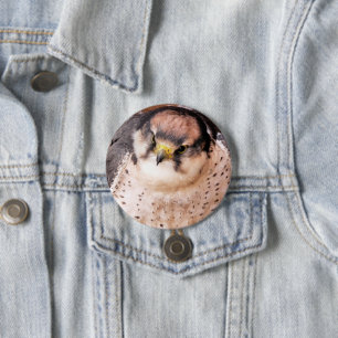 LANNER FALCON KNAPP