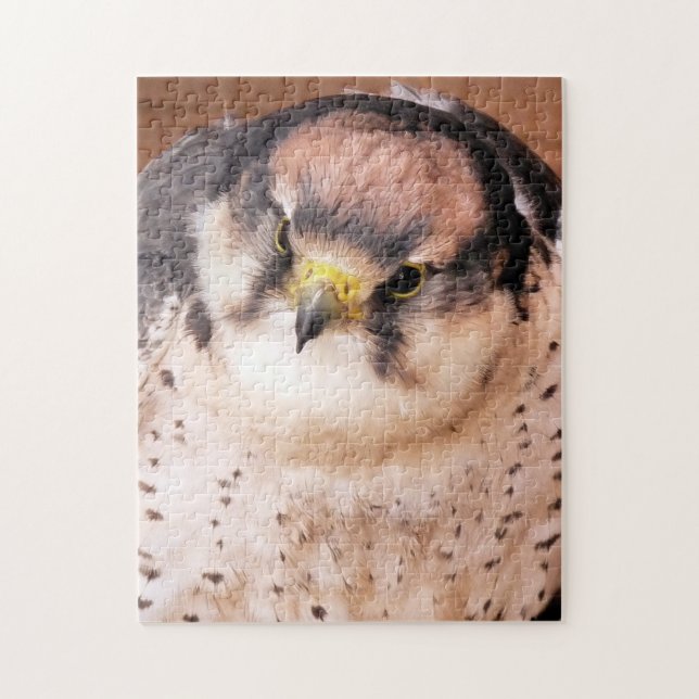 LANNER FALCON PUSSEL (Vertikal)