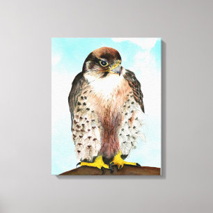 Lanner Falcon Watercolor Painting Canvastryck