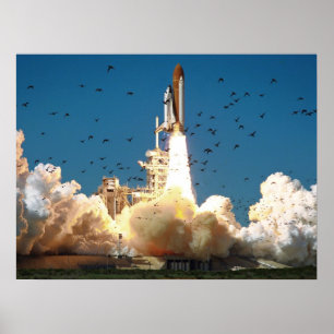 Lansering av rymdfärjekallator (STS-51L) Poster