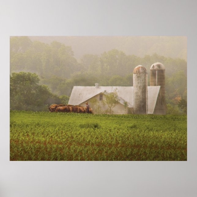 Lant - Amish jordbruk Poster (Framsidan)