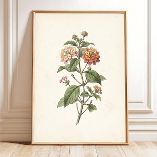 Lantana Botanisk Cottagecore Tryck