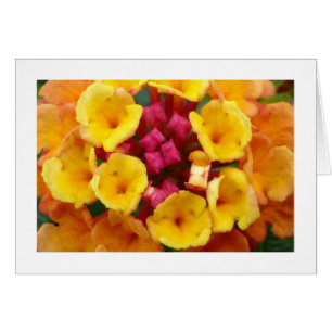 Lantana Flower II - Borderade Hälsningskort