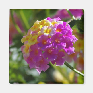Lantana Magnet