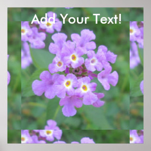 Lantana Plant Lila Blommigt Poster