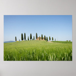 Lantbrukarhem i Tuscany med cypressesaffischen Poster