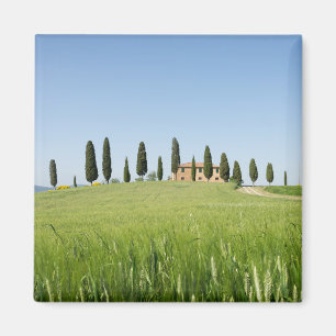 Lantbrukarhem i Tuscany med cypressesmagneten Magnet