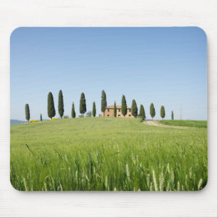 Lantbrukarhem i Tuscany med cypressesmousepad Musmatta