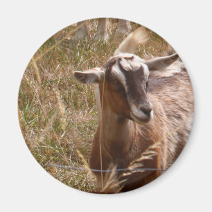 Lantbrukgetter Magnet