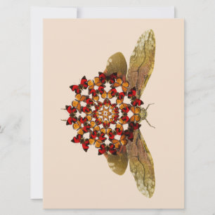 Lantern Fly och Butterfly Mandala Meddelande