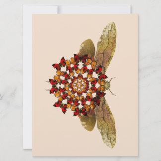 Lantern Fly och Butterfly Mandala Meddelande