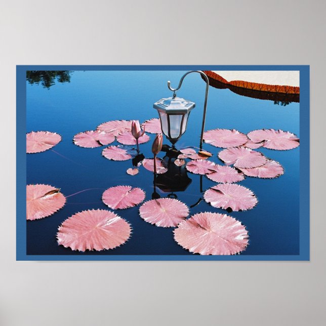 Lantern Over Lilies Poster (Framsidan)
