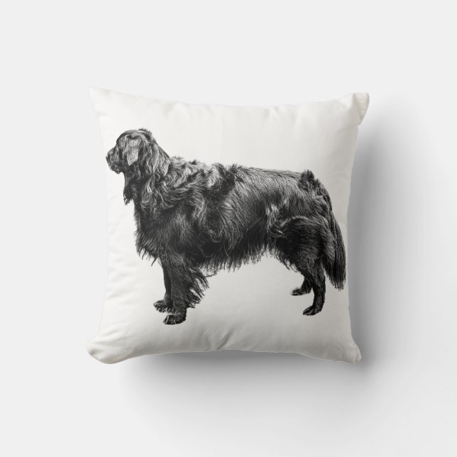 Lantern Porch Assion Kudde (Framsida)