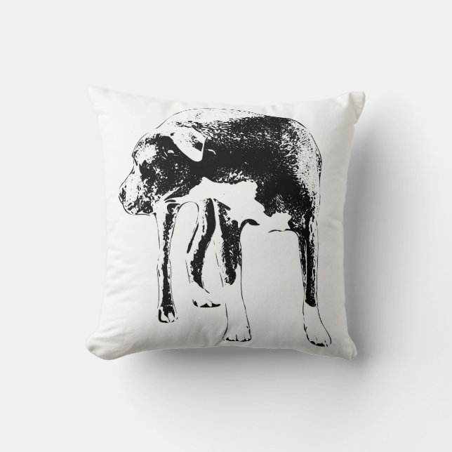 Lantern Väg Sentinel Kudde (Framsida)