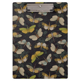 Lanternflies - Pyrops Candelaria & other Planthopp