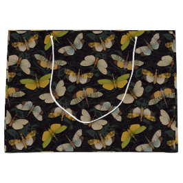 Lanternflies - Pyrops Candelaria & other Planthopp