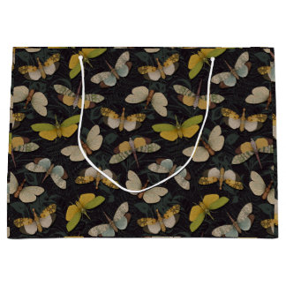 Lanternflies - Pyrops Candelaria & other Planthopp