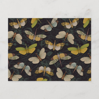 Lanternflies - Pyrops Candelaria & other Planthopp Vykort