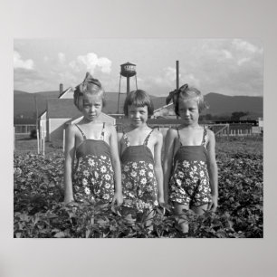 Lantgård Flicka, 1939. Vintagefoto Poster