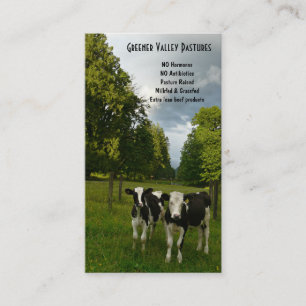 Lantgård för nötkött för Holstein Vealbaby Visitkort