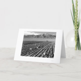 Lantgård jordbruksarbetarear, Mt. Williamson 1943 Kort