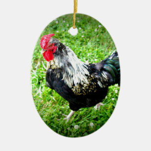 Lantgårdfågel Julgransprydnad Keramik