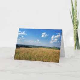 Lantgårdfält beskådar kort