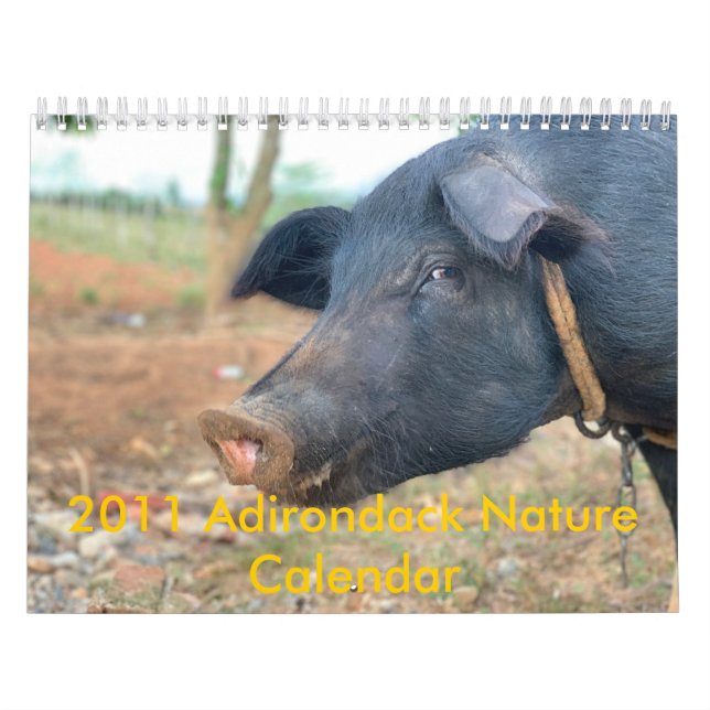 Lantgårdgrisdesign Kalender (Omslag)