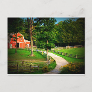 Lantgårdhuskatt i ladugårdgården vykort