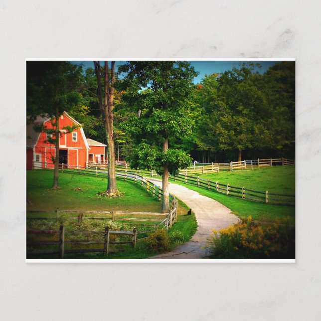 Lantgårdhuskatt i ladugårdgården vykort (Framsida)