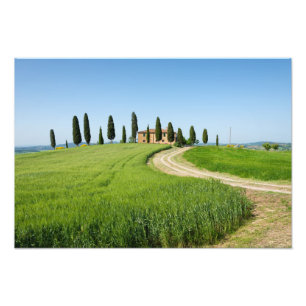 Lantgårdvilla med cypressträd i Tuscany Fototryck