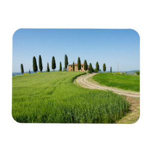 Lantgårdvilla med cypressträd i Tuscany Magnet