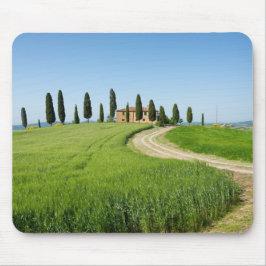 Lantgårdvilla med cypressträd i Tuscany Musmatta