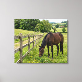 Lanthagehäst Canvastryck