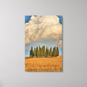 Lantlig cypress i toskana canvastryck