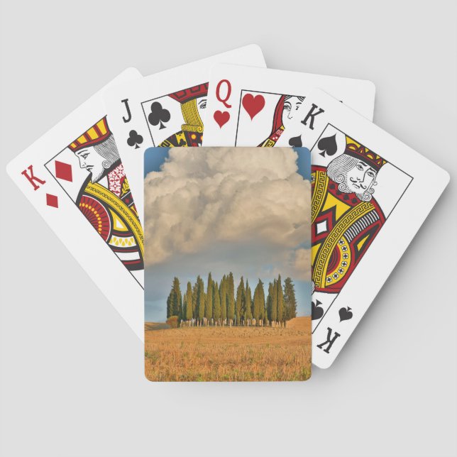 Lantlig cypress i toskanska träd casinokort (Baksidan)