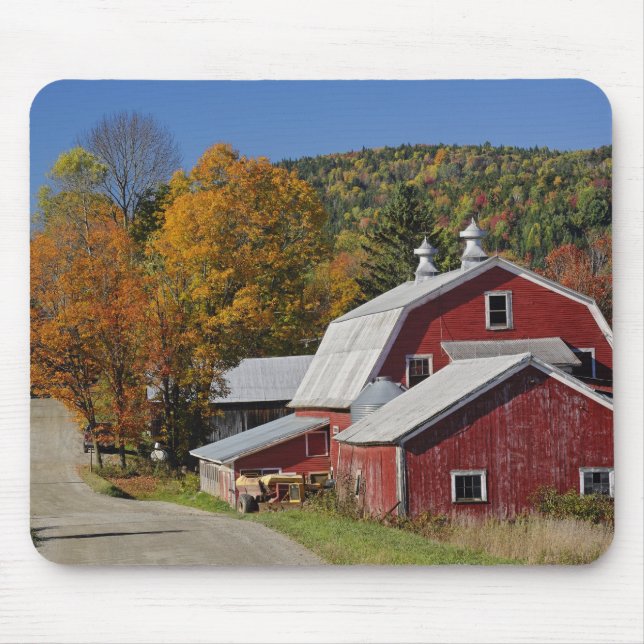 Lantlig ladugård för klassiker och väg, vitberg musmatta (Framsidan)
