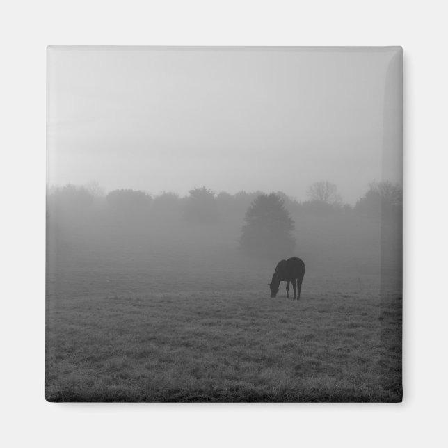 Lantlig Morgon Gråskala Magnet (Framsidan)